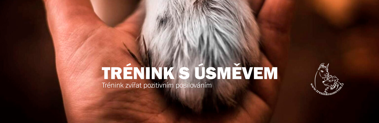 Trénink s úsměvem, záhlaví eshopu